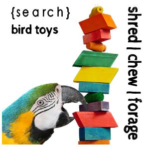 Toys, Chews + Foraging