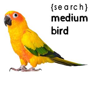 Medium Bird Products