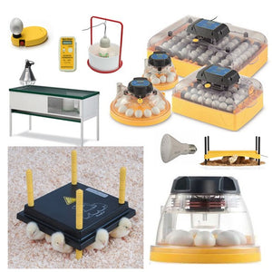 Which Incubator is Right for Me?