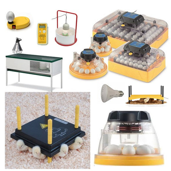 Which Incubator is Right for Me?