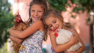 So... You're thinking about some new chickens?