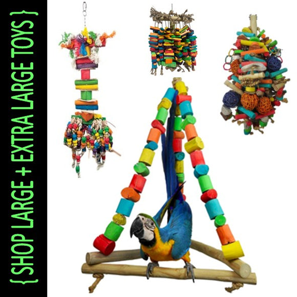 Large and Extra Large Toys