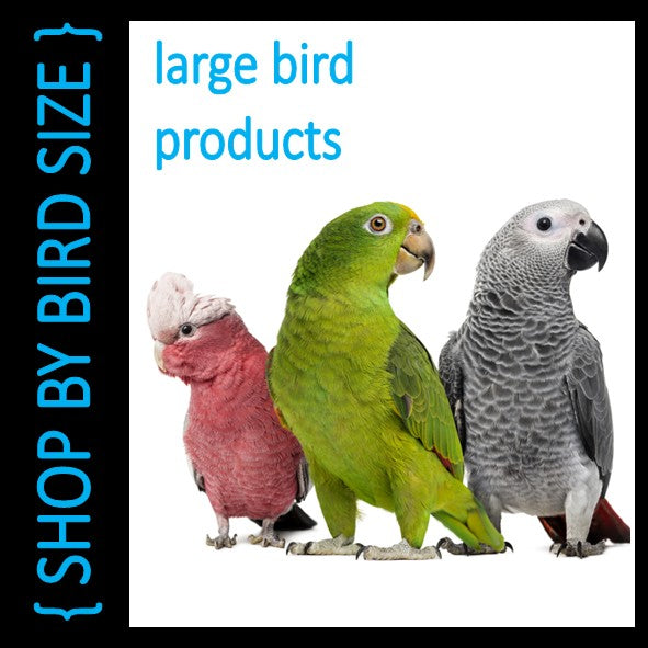Large Bird Products – Tagged 