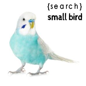 Small Bird Products