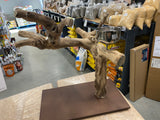 Table Top Bird Activity Centre