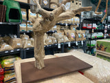 Table Top Bird Activity Centre