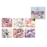 Pretty Little Wren 6pk Coaster Set