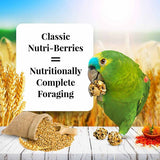 Lafeber Nutri-Berries Classic Parrot - Two Sizes!