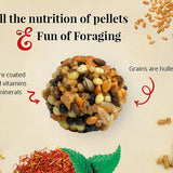 Lafeber Nutri-Berries Classic Macaw + Cockatoo  - Two Sizes!