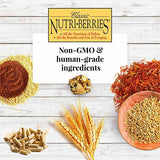 Lafeber Nutri-Berries Classic Parrot - Two Sizes!