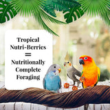 Lafeber Nutri-Berries Tropical Fruit Small Bird 284g