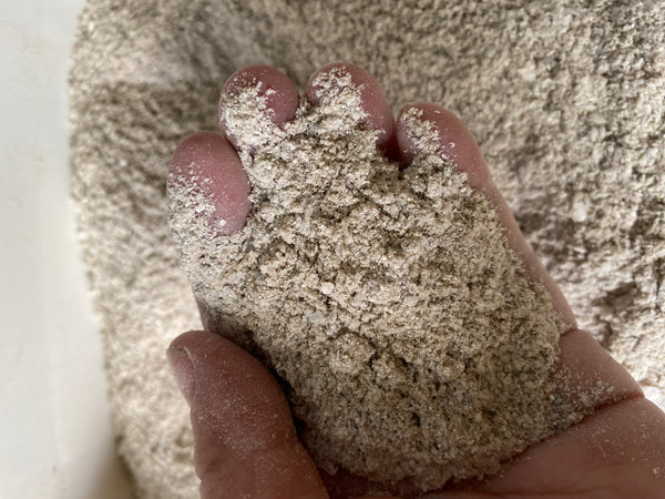 How to Grind Oyster Shells: Easy Steps for Perfect Results