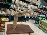 Table Top Bird Activity Centre