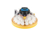 COMING SOON - Brinsea Maxi 24 EX Connect – fully automatic, app-controlled 24 egg incubator