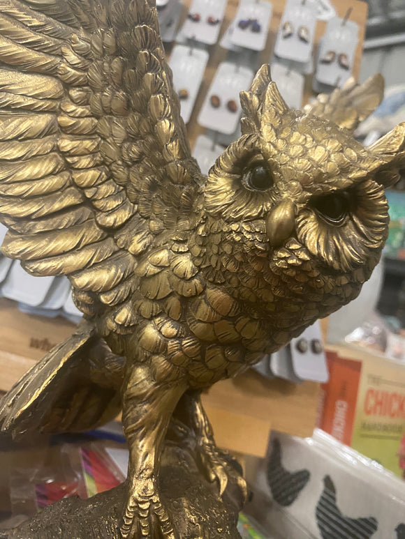 Bronzed Owl