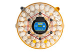 COMING SOON! Brinsea Maxi 48 Advance - Automatic Turning Incubator