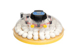 COMING SOON! Brinsea Maxi 48 Advance - Automatic Turning Incubator