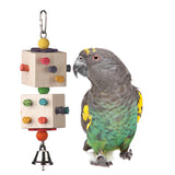 Super Bird Parrot Dice Bird Toy