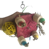 Turtle Forager Bird Toy