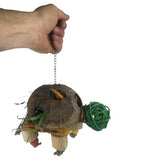 Turtle Forager Bird Toy