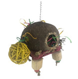 Turtle Forager Bird Toy