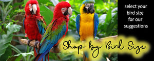 banner for shopping by bird size
