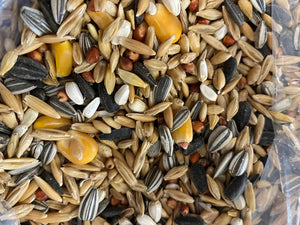 Tassie Bird and Poultry Supplies Everyday Large Parrot Blend 5kg
