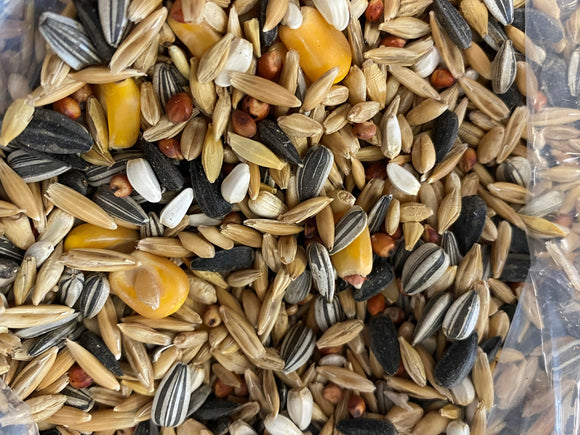 Tassie Bird and Poultry Supplies Everyday Large Parrot Blend 5kg