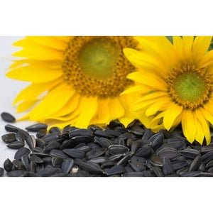 Seedhouse - Black Sunflower Seed 5kg