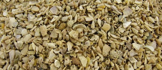 Medium Shell Grit Shell Grit 20kg Bag Medium Grade – Tassie Bird and Poultry Supplies