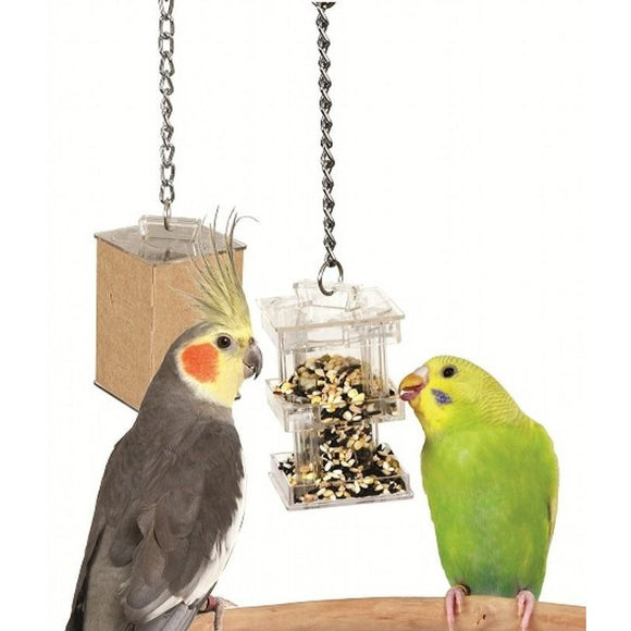 Creative Foraging Box Feeder