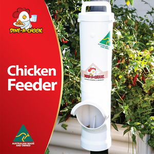 Dine a Chook 3.5lt Feeder