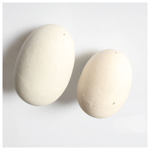 Brood Eggs - China Pair