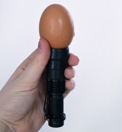 Poultry Egg Candling Lamp
