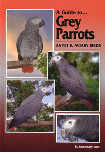 A Guide to Grey Parrots as Pet and Aviary Birds