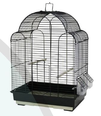 Paradise Scallop Top Bird Cage