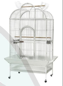 Paradise Scallop Top Large Bird Cage