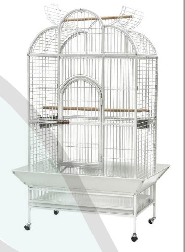 Paradise Scallop Top Large Bird Cage – Tassie Bird and Poultry