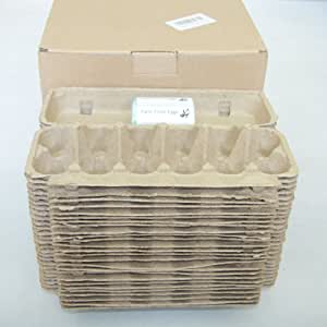 Egg Carton (1 dozen)