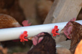 Horizontal/Side Mount Poultry Nipple Drinkers