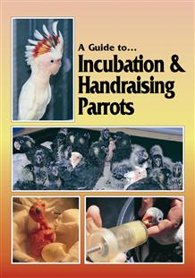 A Guide to Incubation and Handraising Parrots