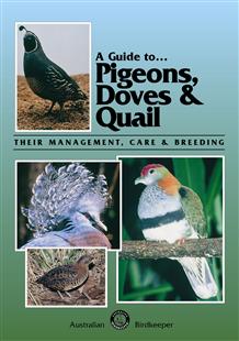 A Guide to Pigeons, Doves and Quail