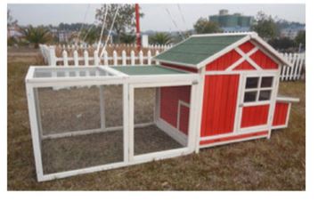 'Lil Barn Chicken Coop and Run