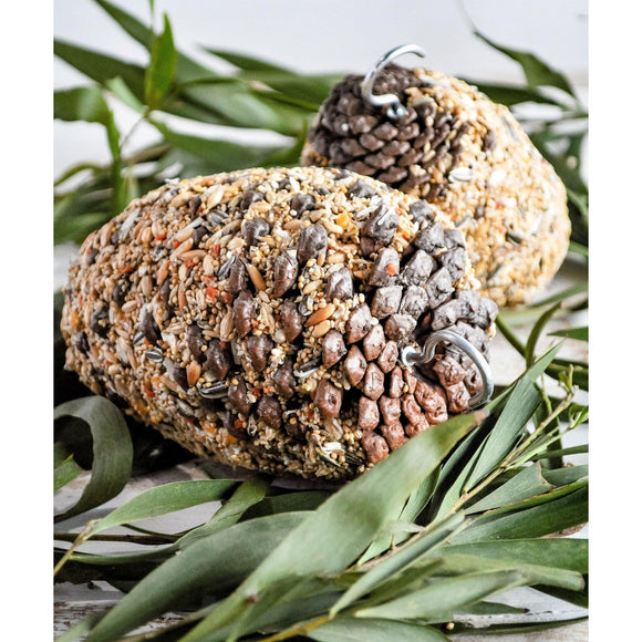 Forage Large Bird Pine Cone Parrot Treat