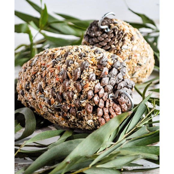 Forage Large Bird Pine Cone Parrot Treat (Two Sizes)