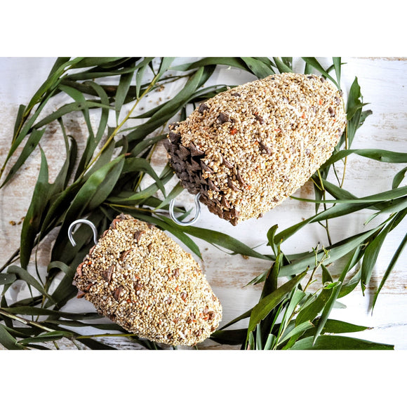 Forage Small Bird Pine Cone Parrot Treat (Two Sizes)