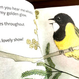 The Bush Birds, A Children's Lift the Flap Book by Bridget Farmer