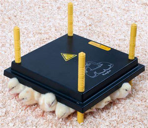 Poultry Chick Warmer Brooder Heat Plate - 30cm x 30cm (20 - 25 Chicks)