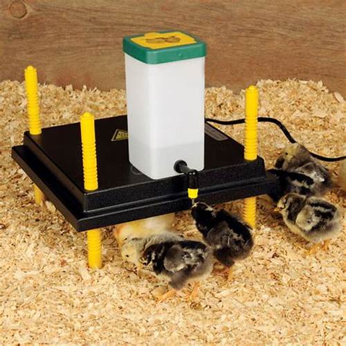 Poultry Drinker Chick Dropper 1L