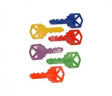 Plastic Key